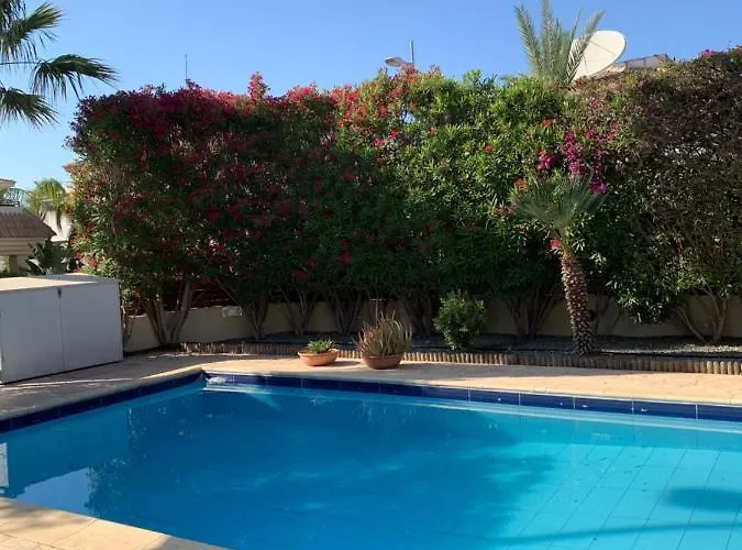 In * Πρωταράς