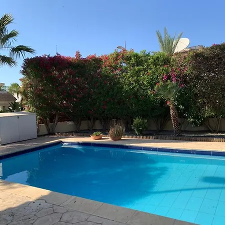 In * 普罗塔拉斯